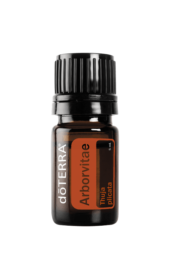 Arborvitae 5ML OIL – Twist Boutique