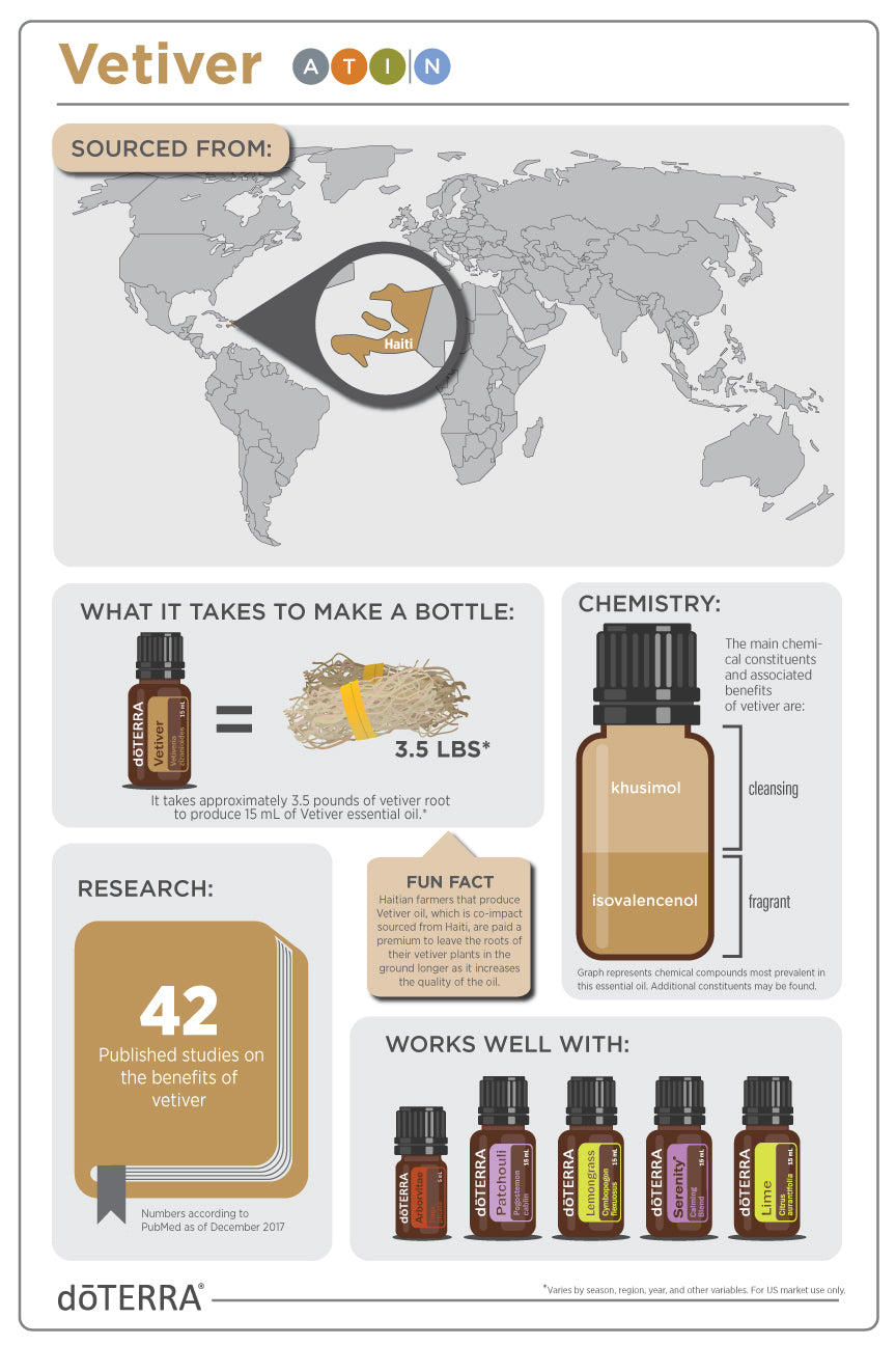Vetiver 15ML OIL – Twist Boutique
