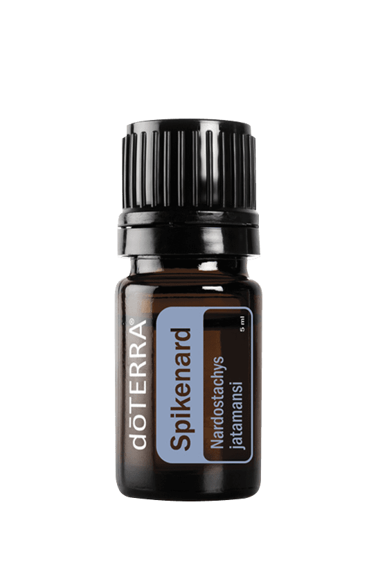 Spikenard 5ML OIL – Twist Boutique
