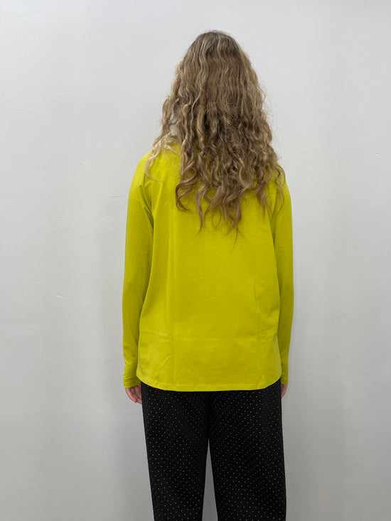 Load image into Gallery viewer, Pistachio Green Long Sleeve Turtle Neck
