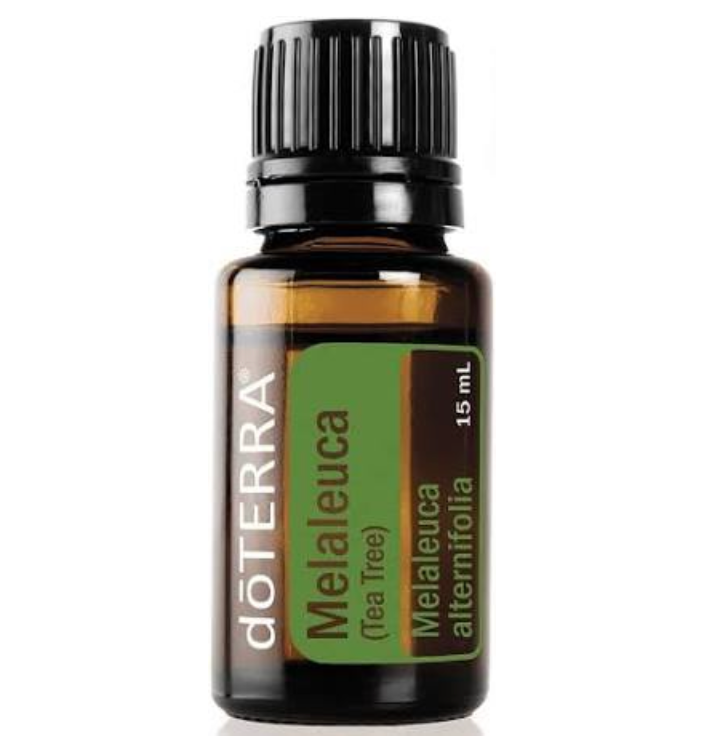 Melaleuca 15ML OIL