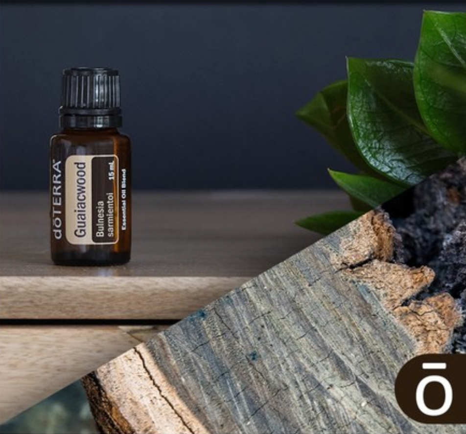 Guaiacwood 15ML OIL