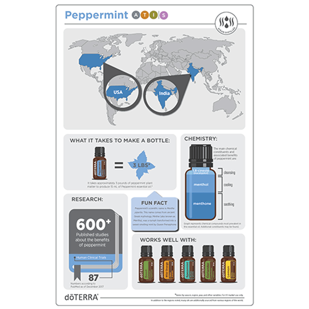 
                  
                    Peppermint 15ML OIL
                  
                