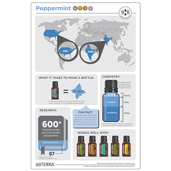 Load image into Gallery viewer, Peppermint 15ML OIL

