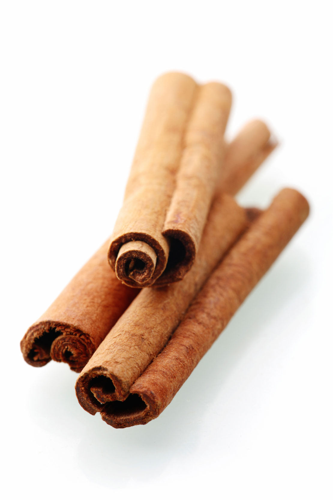 Cinnamon Bark 5ML OIL