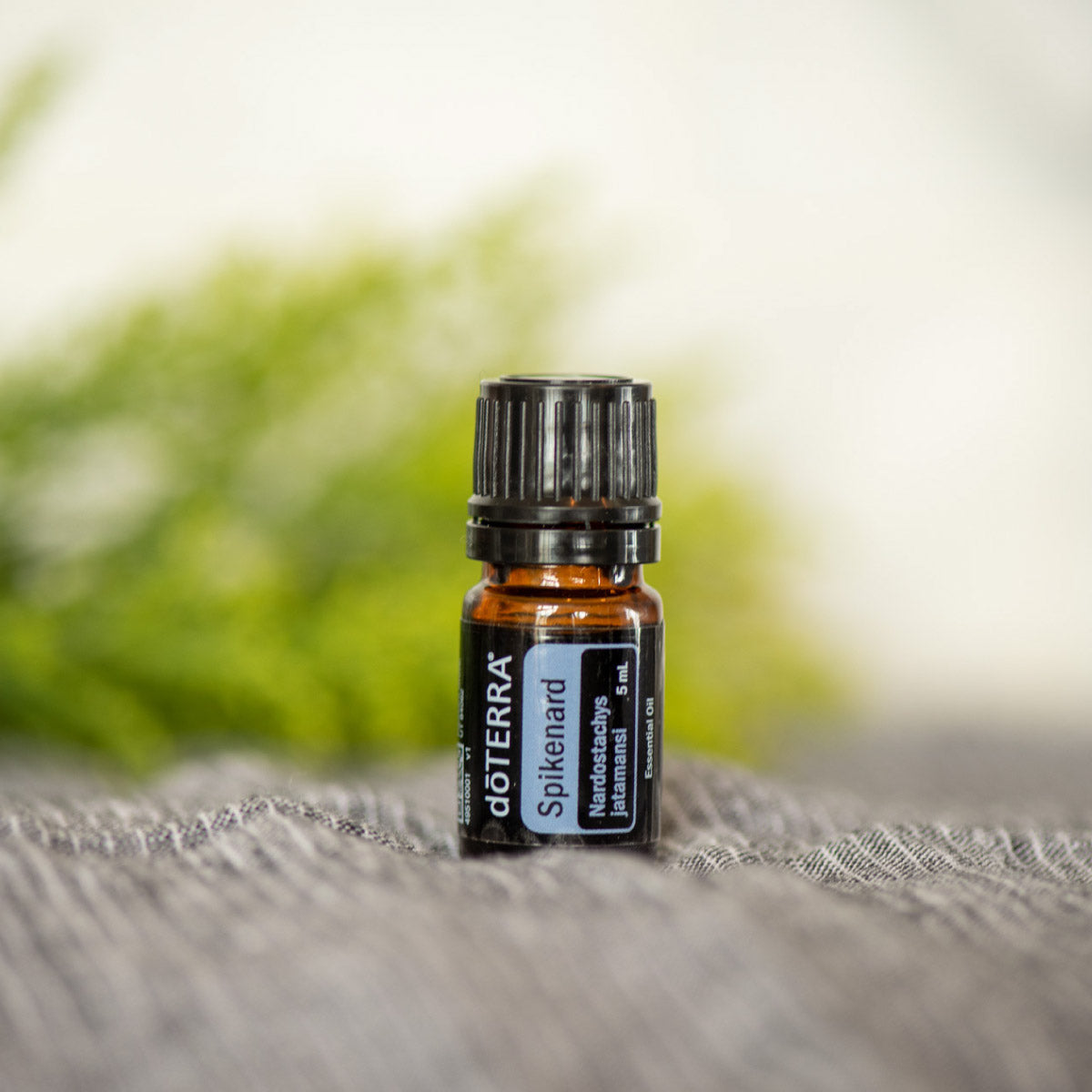 Spikenard 5ML OIL – Twist Boutique