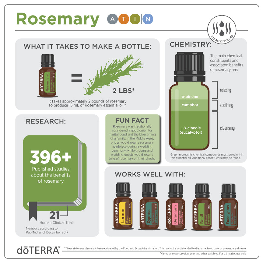 
                  
                    Rosemary 15ML OIL
                  
                