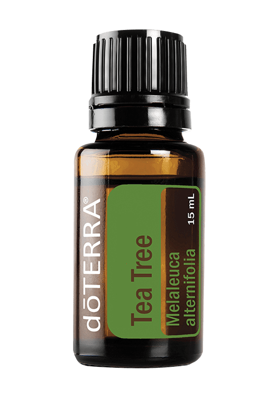 Tea Tree 15ML OIL