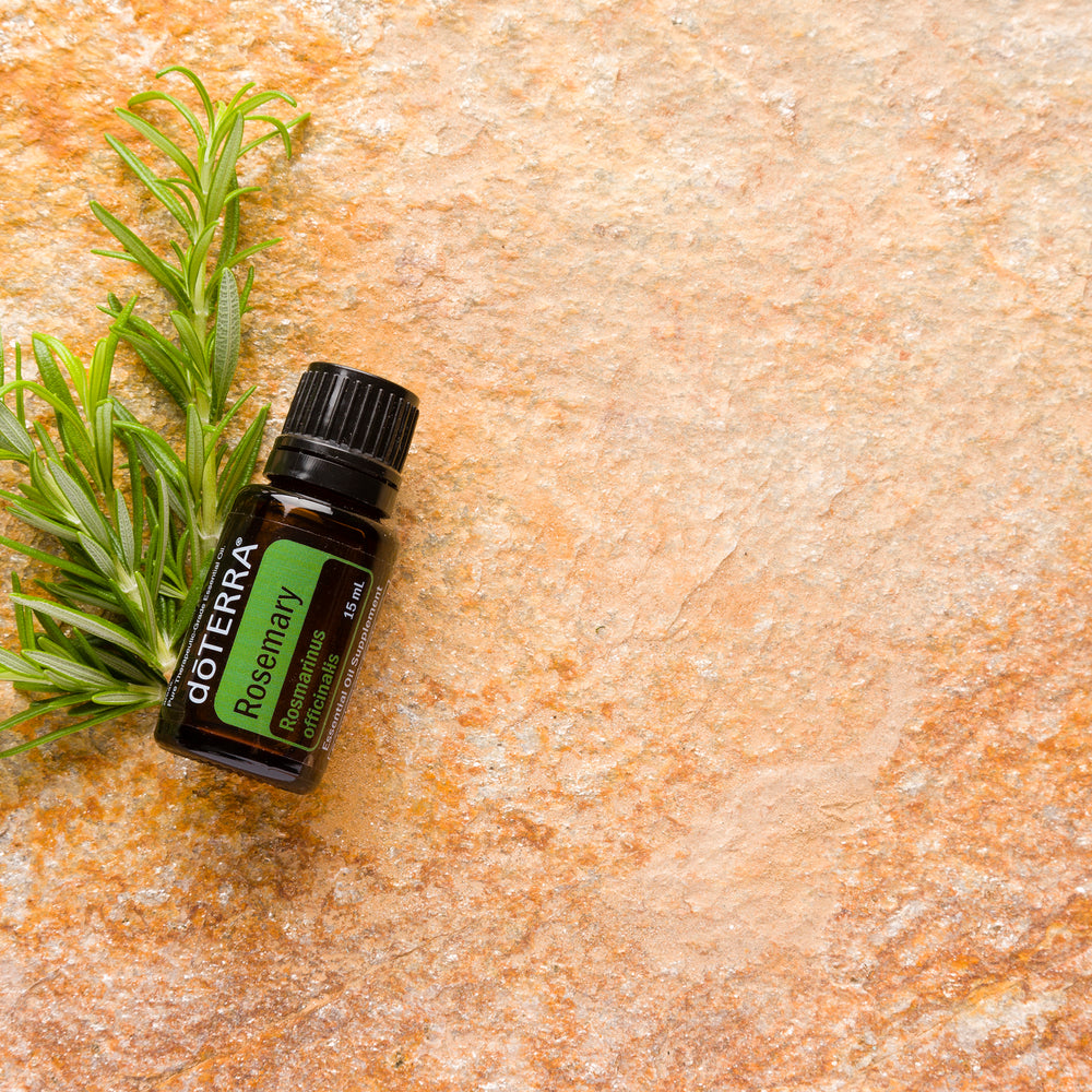 
                  
                    Rosemary 15ML OIL
                  
                