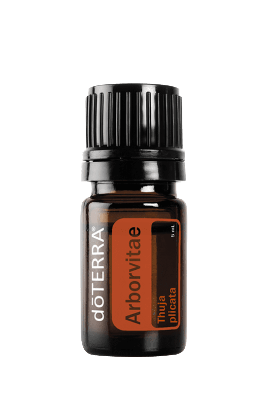 Arborvitae 5ML OIL