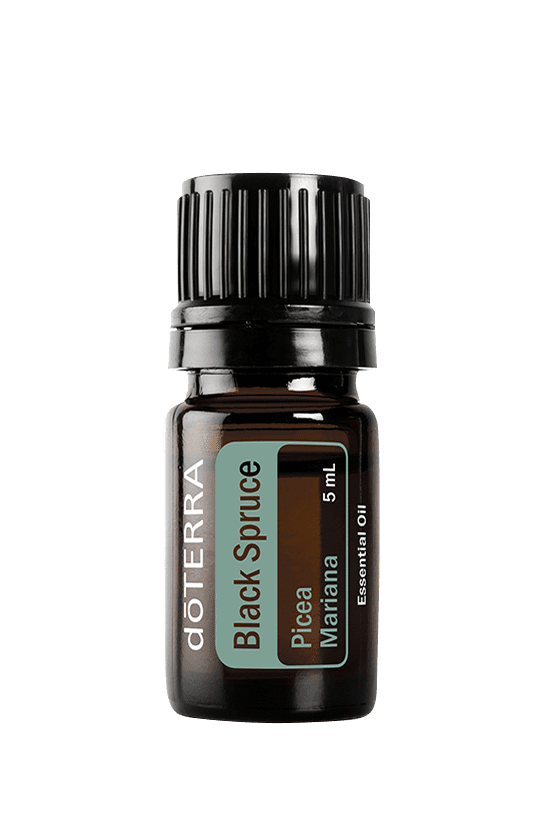 Black Spruce 5ML OIL