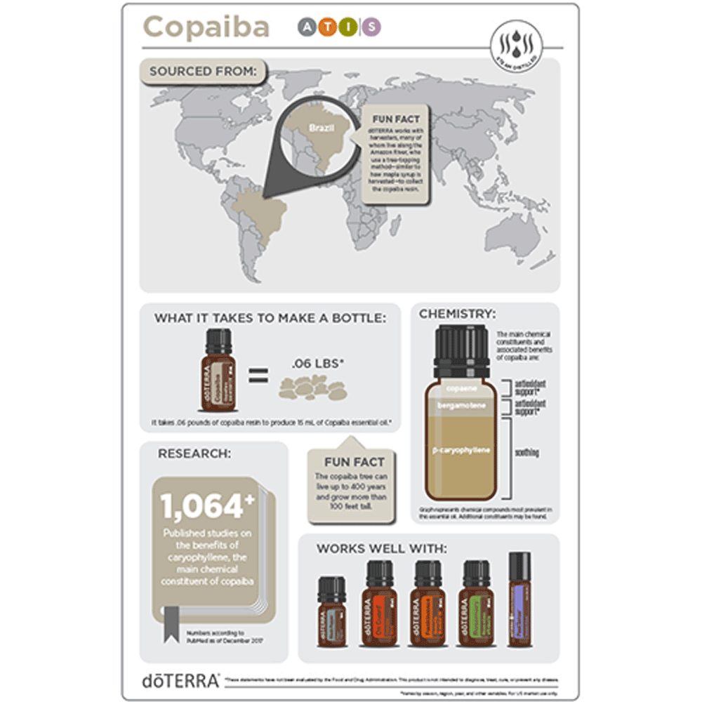 
                  
                    Copaiba 15ML OIL
                  
                