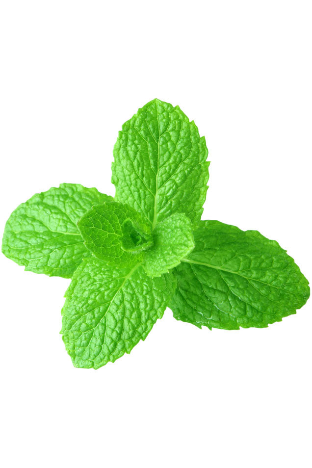 Spearmint 15ML OIL