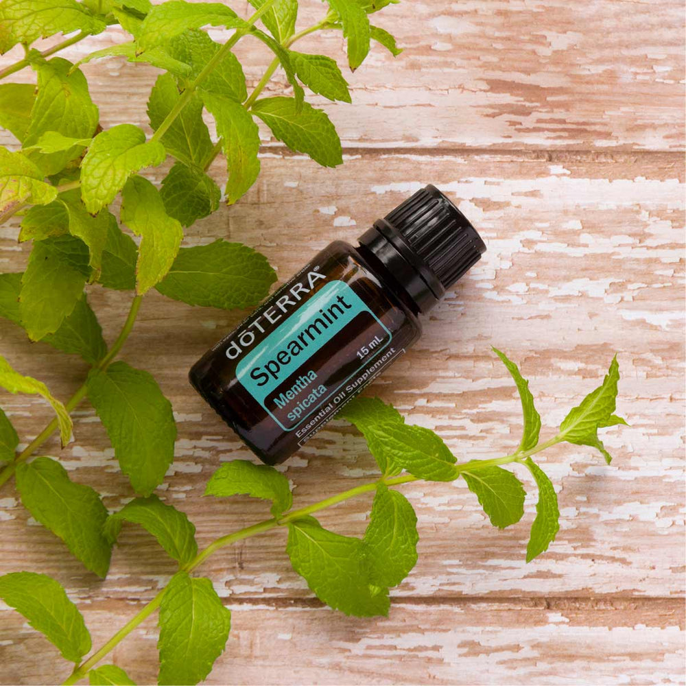 
                  
                    Spearmint 15ML OIL
                  
                