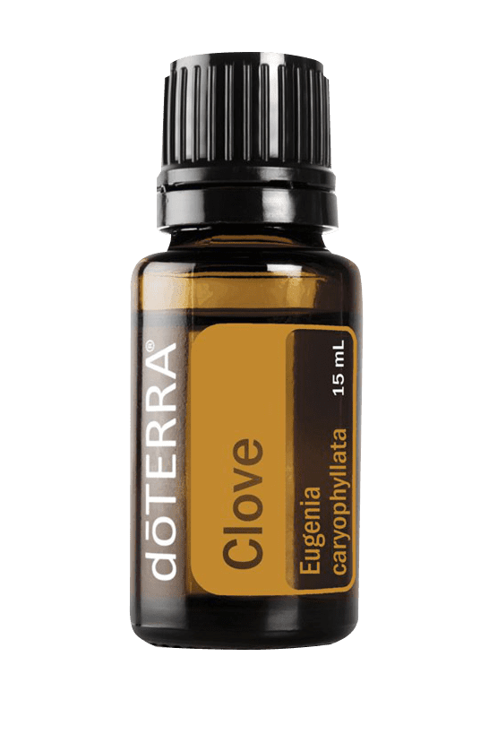 Clove 15ML OIL