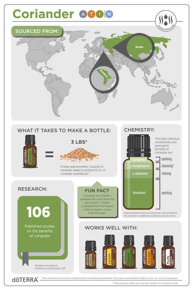 
                  
                    Coriander 15ML OIL
                  
                