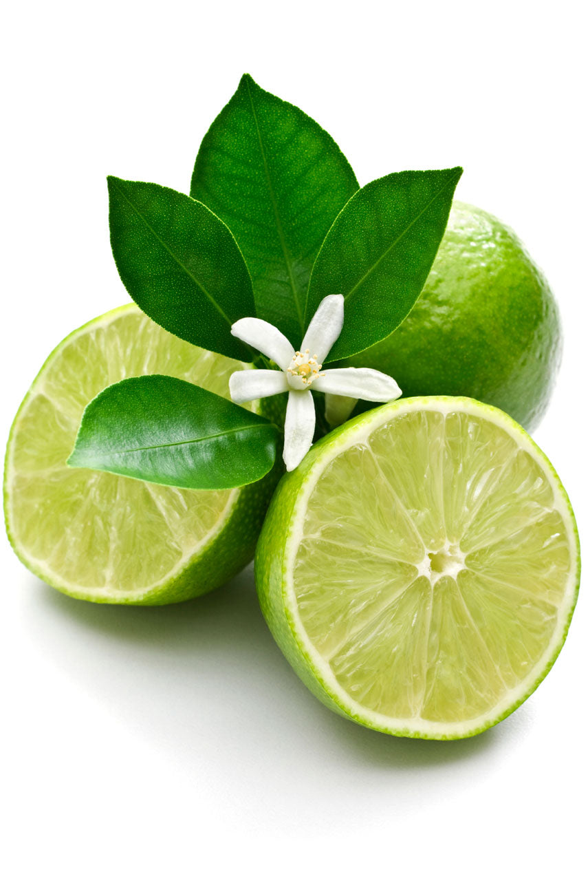 Lime 15ML OIL