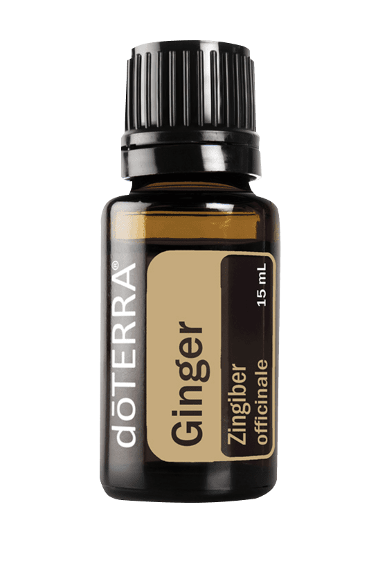 Ginger 15ML OIL