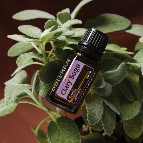 Clary Sage 15ML OIL – Twist Boutique