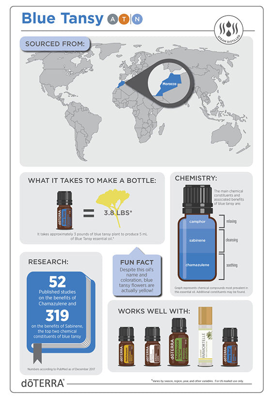 Blue Tansy 5ML OIL – Twist Boutique