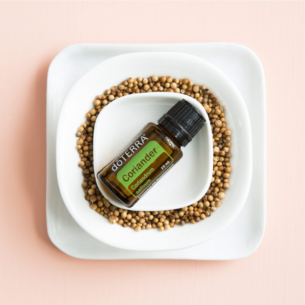 
                  
                    Coriander 15ML OIL
                  
                