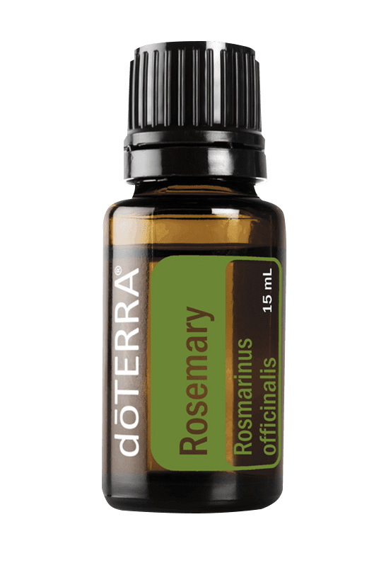 Rosemary 15ML OIL