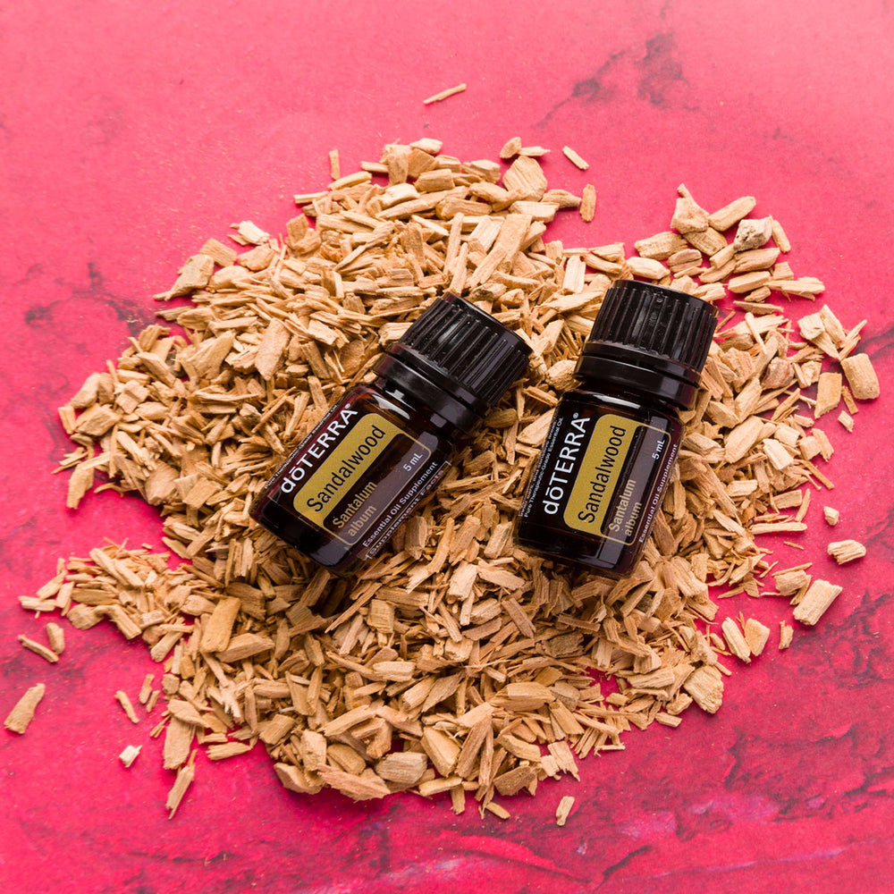 
                  
                    Sandalwood 5ML OIL
                  
                