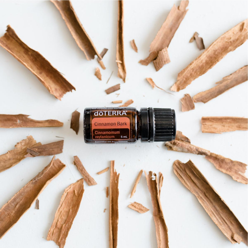 
                  
                    Cinnamon Bark 5ML OIL
                  
                