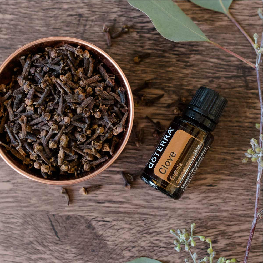 
                  
                    Clove 15ML OIL
                  
                