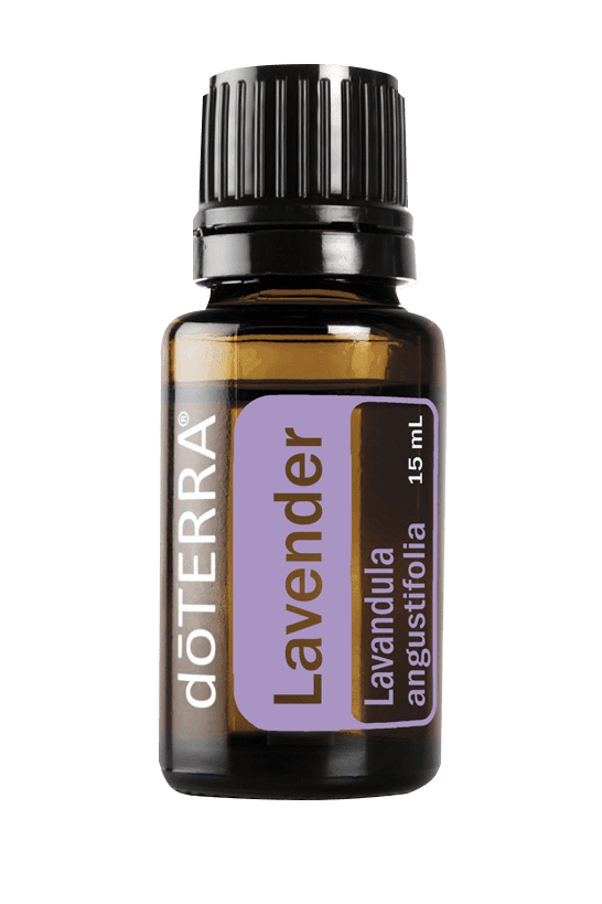 Lavender 15ML OIL