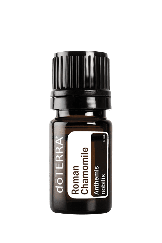 Roman Chamomile 5ML OIL