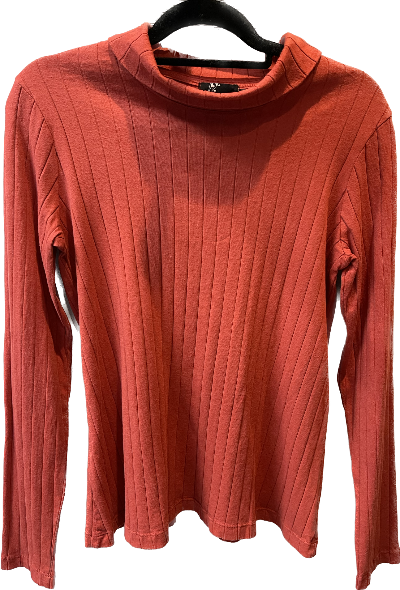 Spice Ribbed Long Sleeve Turtle Neck