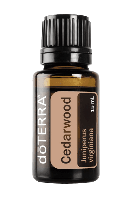 Cedarwood 15ML OIL