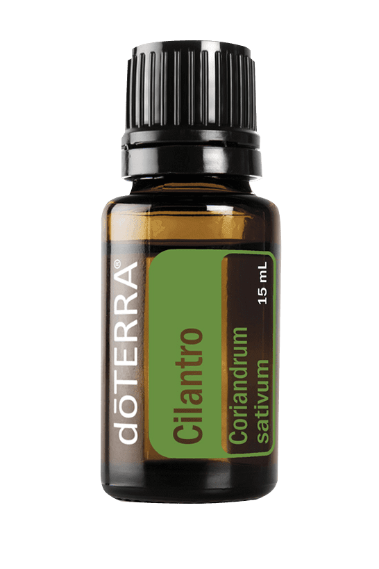 Cilantro 15ML OIL