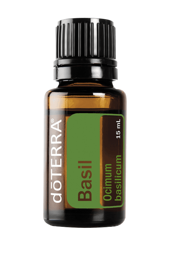 Basil 15ML OIL